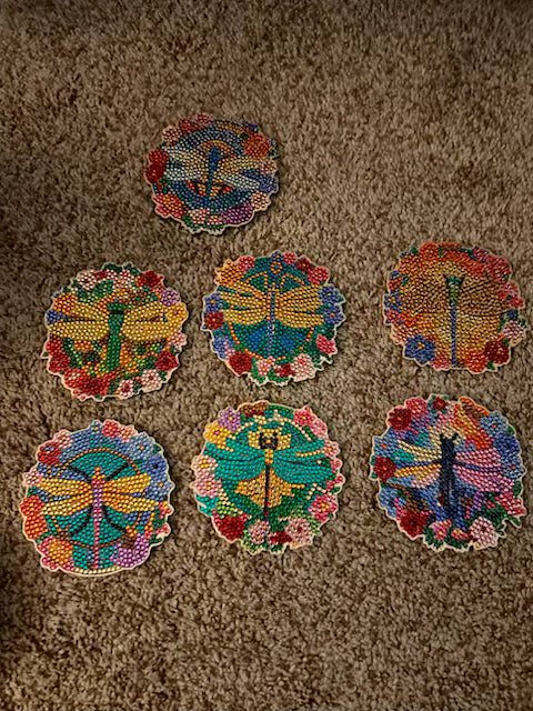 dragonfly coaster